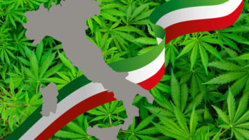 Situazione Legislativa Cannabis Light in Italia [aggiornamento 2020]