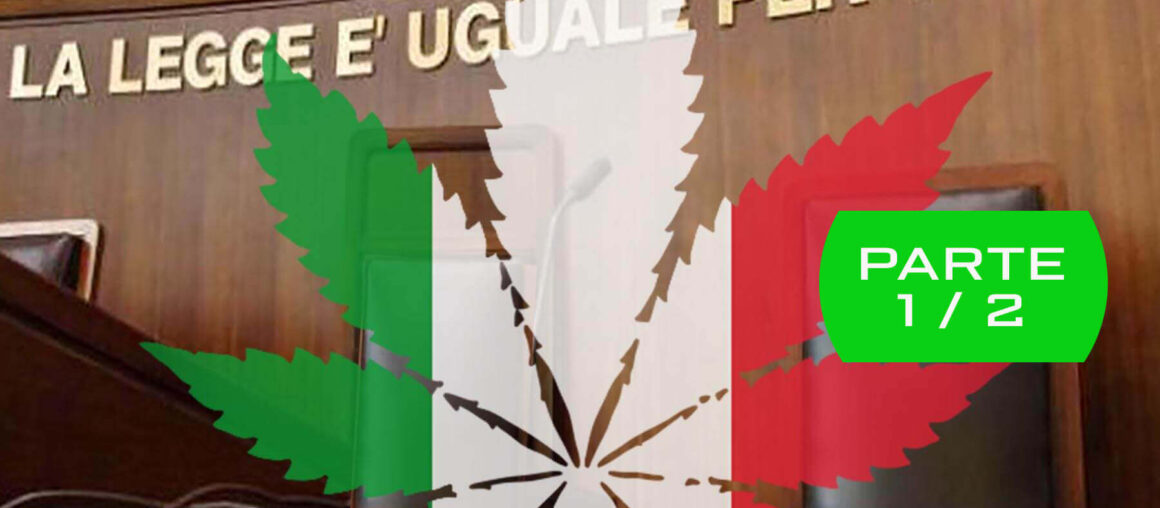 Cannabis Light in Italia: Aggiornamento 2021 sulla Situazione Legislativa Italiana - Parte 1/2