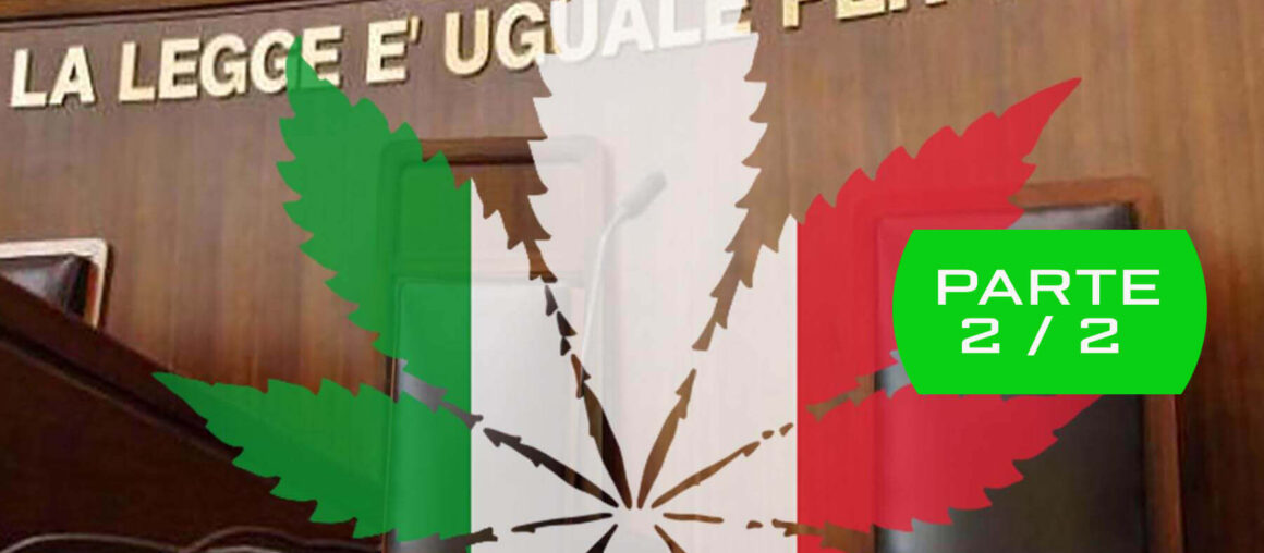 Cannabis Light in Italia: Aggiornamento 2021 sulla Situazione Legislativa Italiana - Parte 2/2