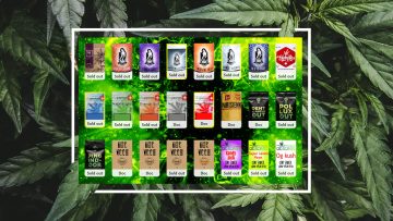 The top 6 CBD best selling products in 2021 for your weed vending machine